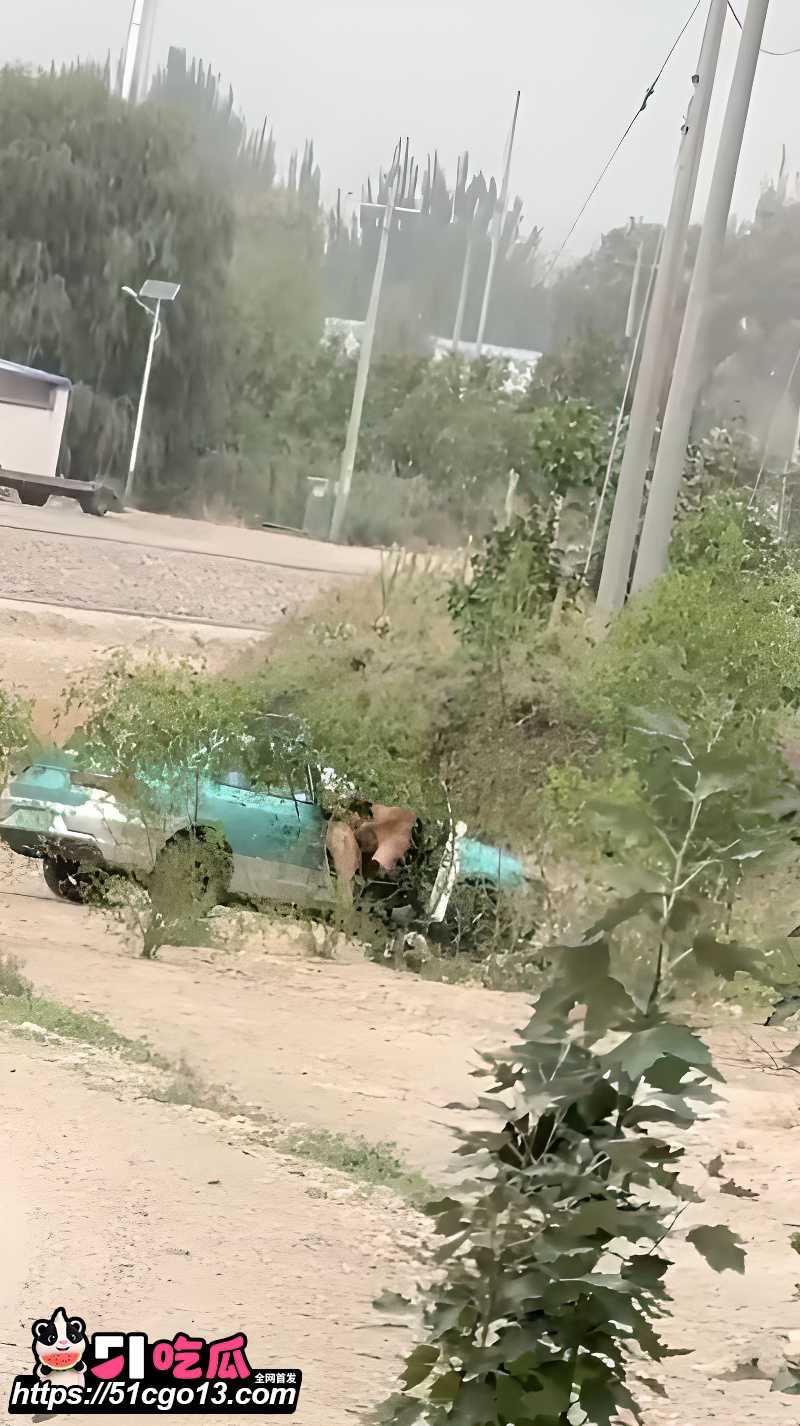 出租车野外车震惨遭偷拍 5