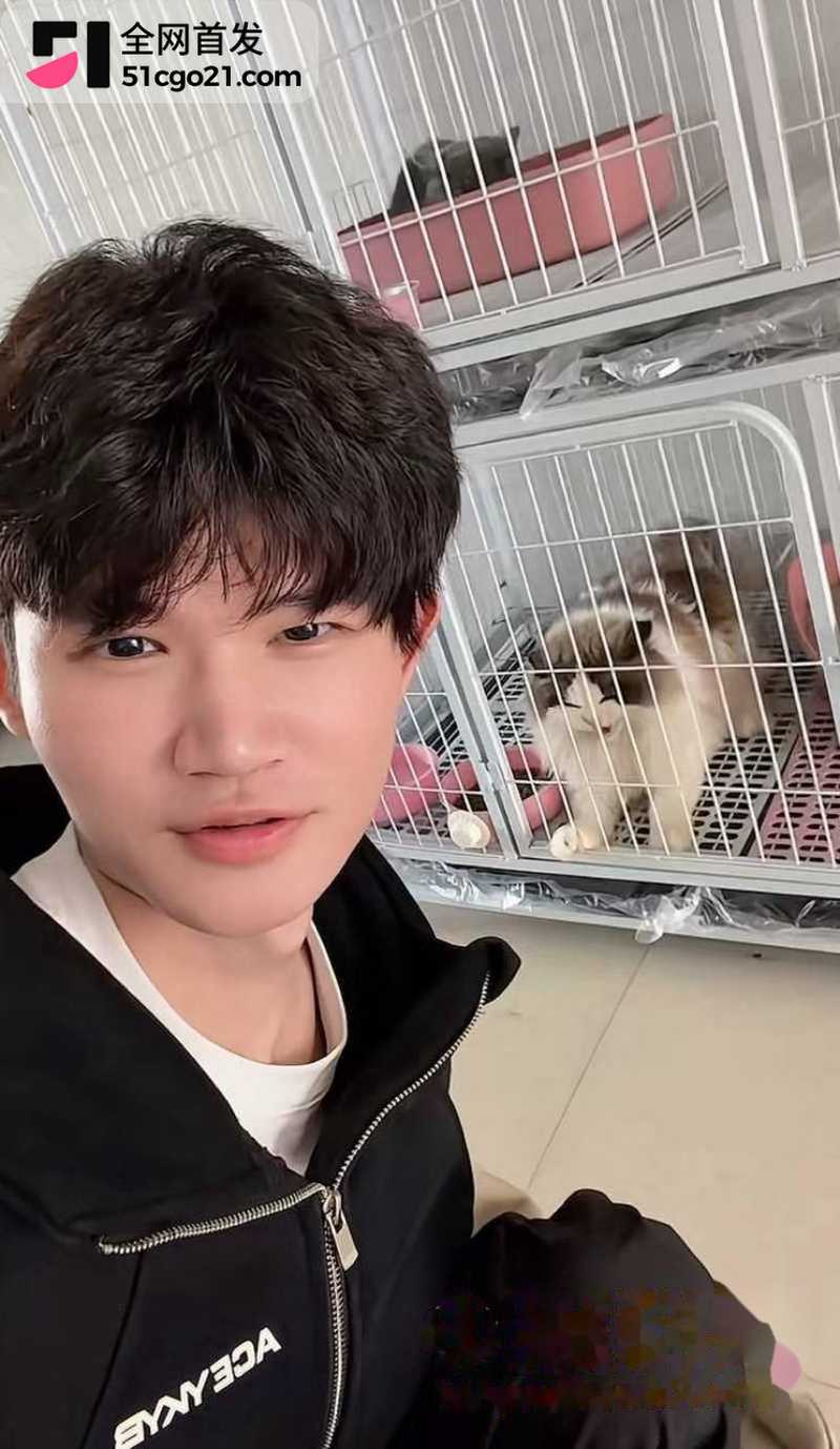 抖音训猫博主 小峰 2