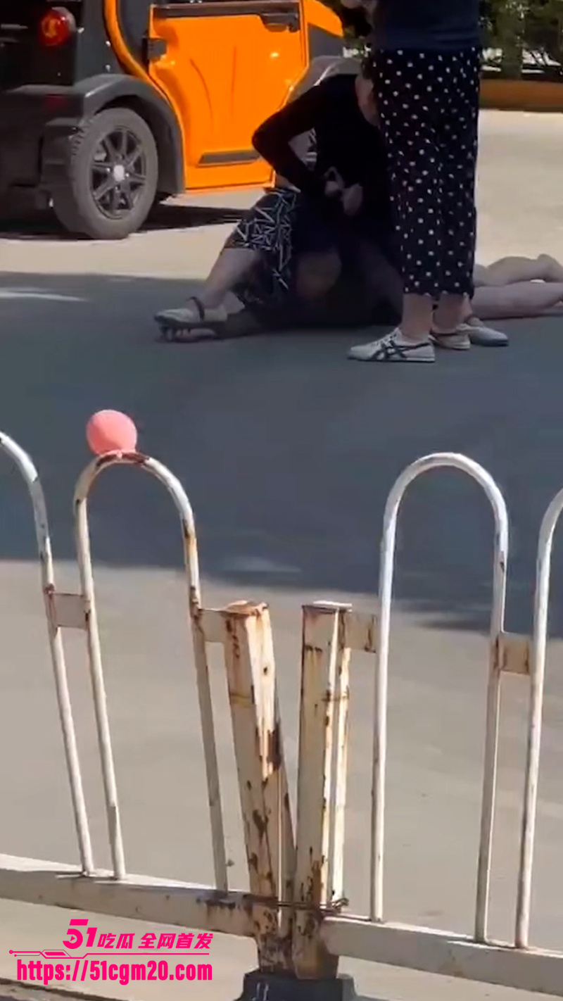 正妻马路怒揍小三 2