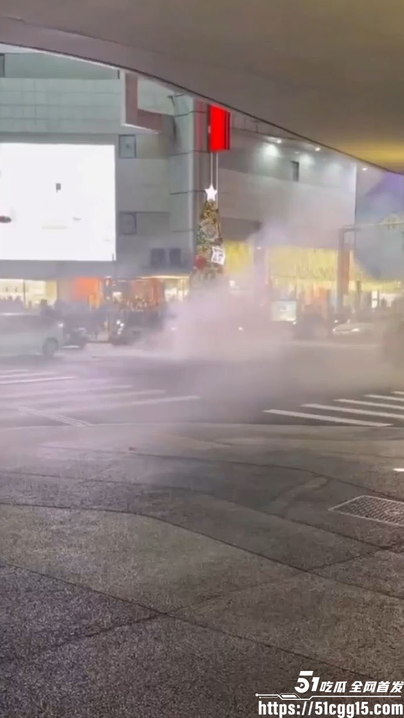 台北捷运27岁通缉犯张文投烟雾弹随机砍人 1