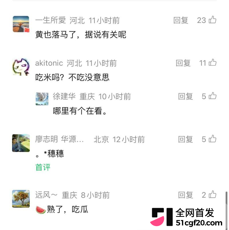 重庆原市长黄奇帆卸任近十年后被查 36 重庆原市长黄奇帆卸任近十年后被查 36