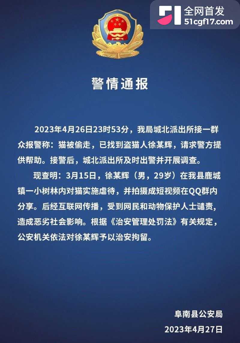虐猫狂人杰克辣条遭女暴徒线下真实 7