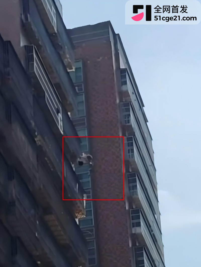 普宁女孩跳楼事件 4