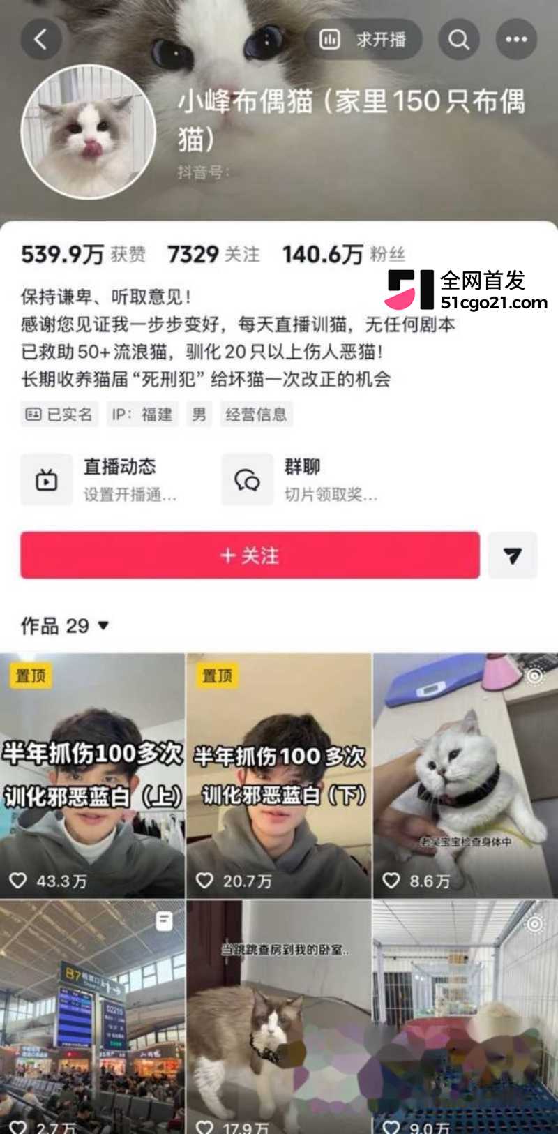 抖音训猫博主 小峰 1