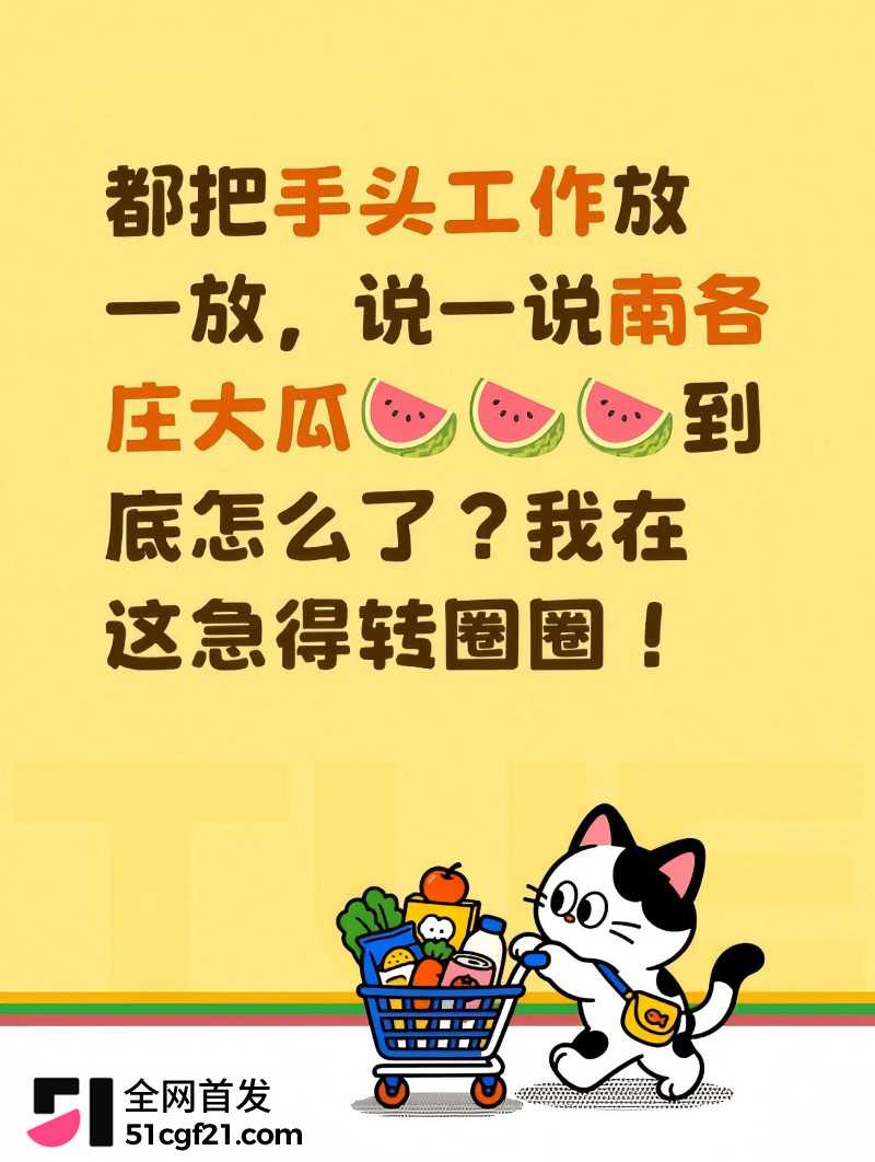 廊坊南各庄 王美玲 婚内出轨被骗事件12