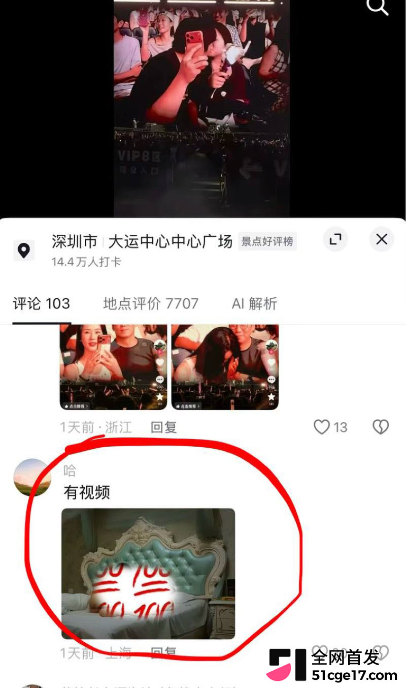 邓紫棋深圳演唱会KissCam突发状况 14