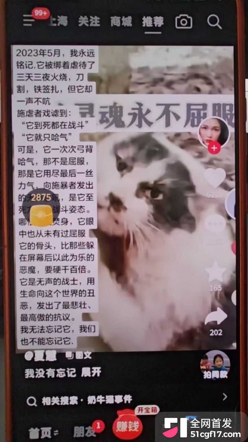 虐猫狂人杰克辣条遭女暴徒线下真实 13