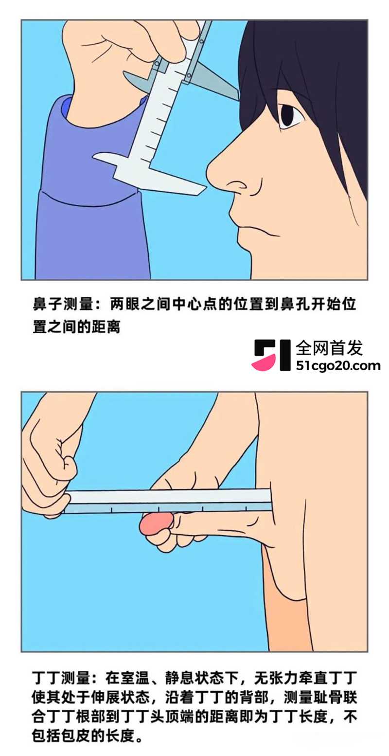 各省男性丁丁长度排行榜引爆全网 6 拷贝