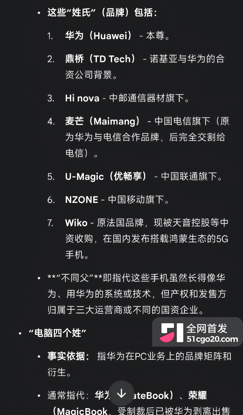 华为创始人 任正非 全家神秘失联海路外逃19 华为创始人 任正非 全家神秘失联海路外逃19