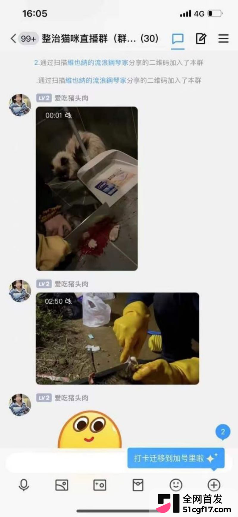 虐猫狂人杰克辣条遭女暴徒线下真实 15