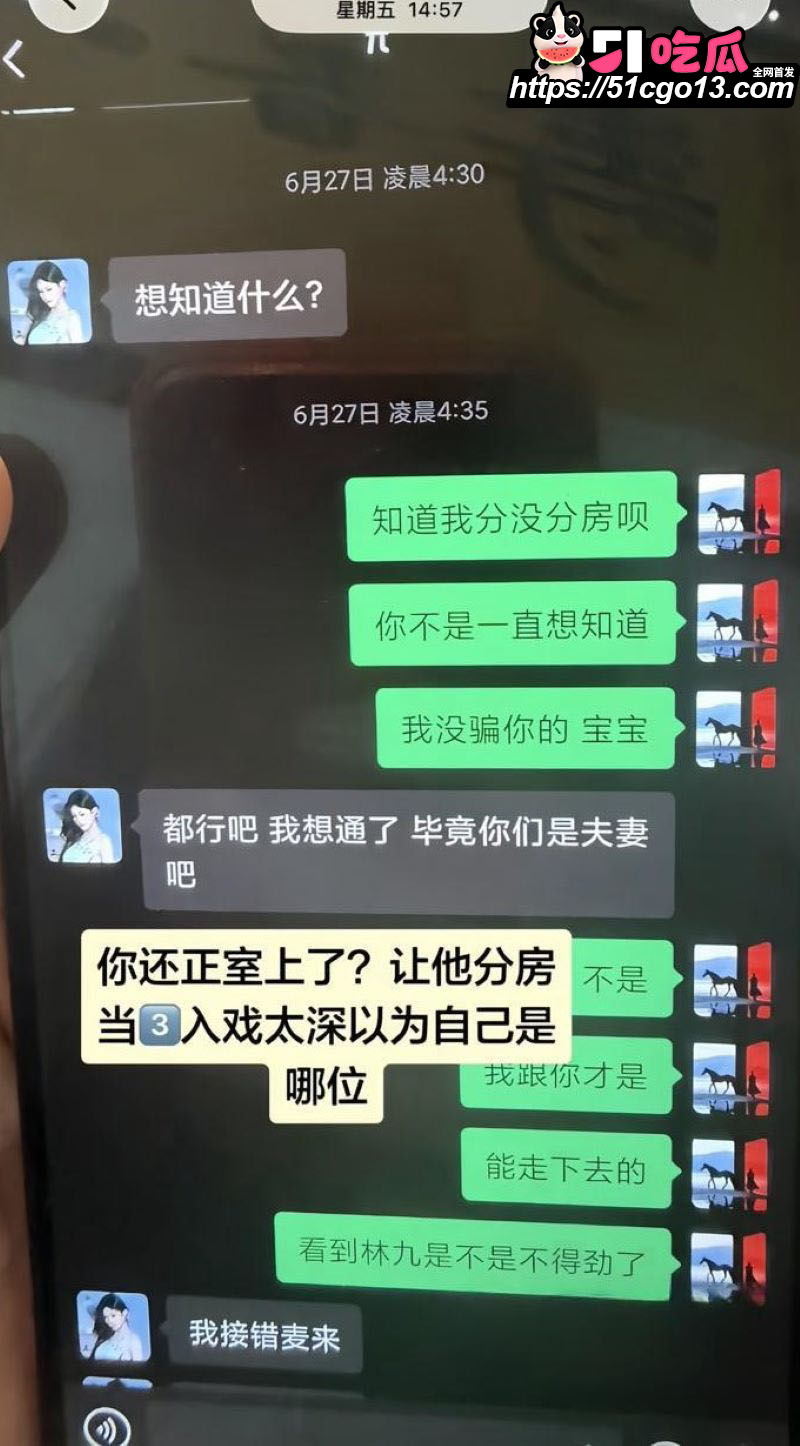 HMC模特卢金金被原配实锤知三当三 16