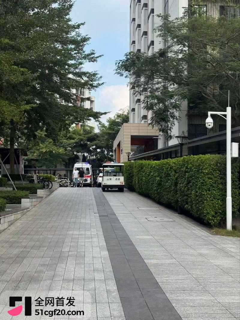 南科大杀人事件 8 南科大杀人事件 8