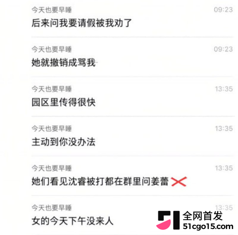 宁德时代13级工程师沈睿出轨采购姜蕾 原配老公杀上门 辣眼聊天记录震碎三观12
