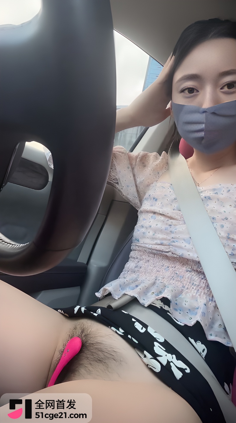 丝袜人妻少妇 大白洁 带娃开车自慰6