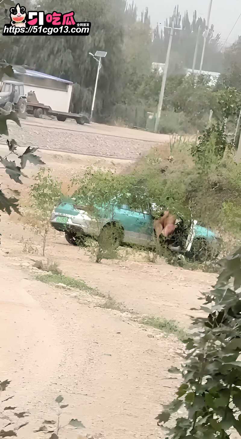 出租车野外车震惨遭偷拍 3