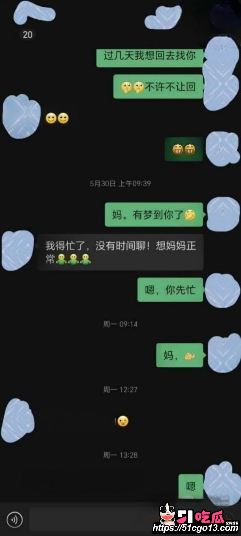 甘肃母子双排大瓜09