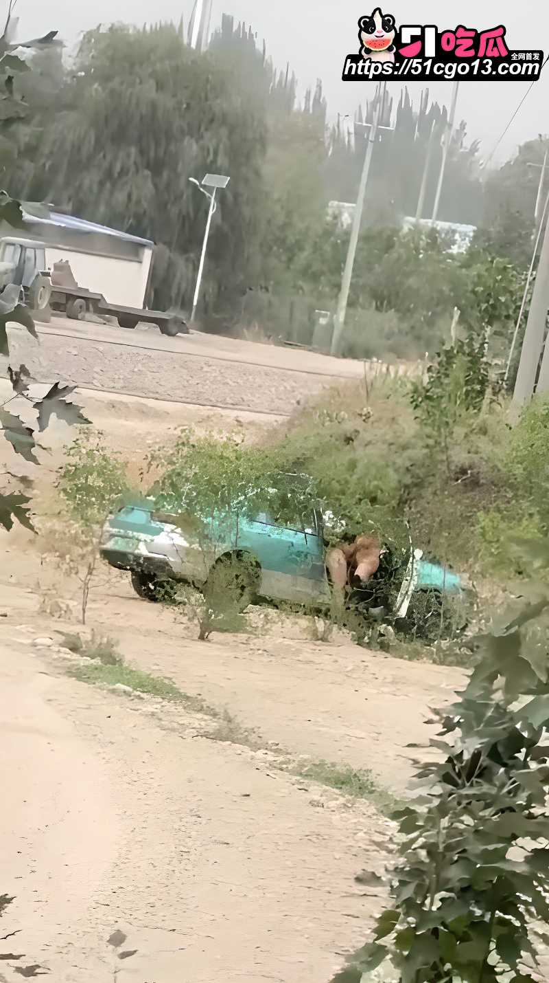 出租车野外车震惨遭偷拍 4