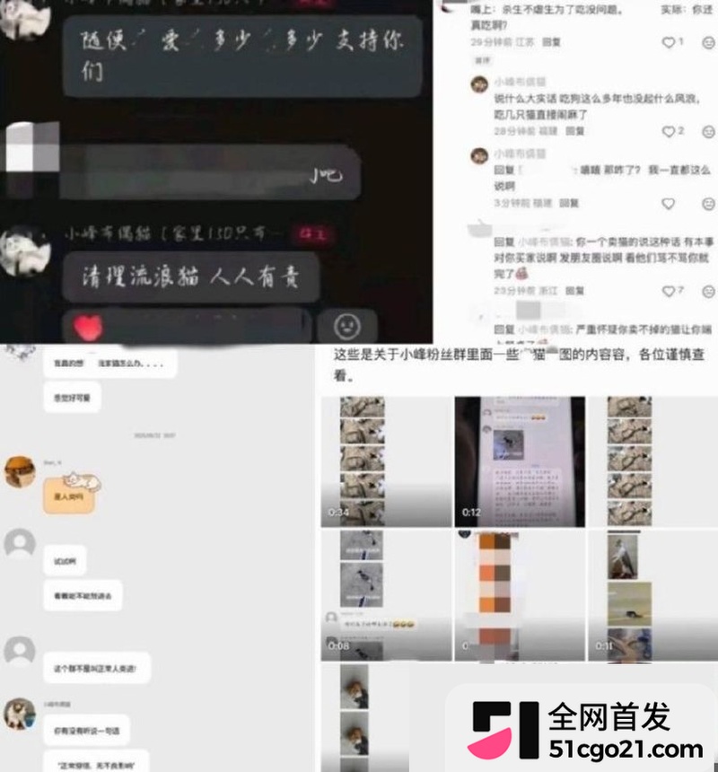 2222群聊虐猫言论与猫图enhanced