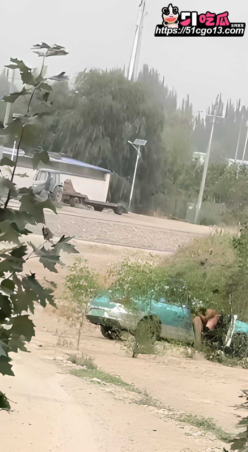 出租车野外车震惨遭偷拍 6