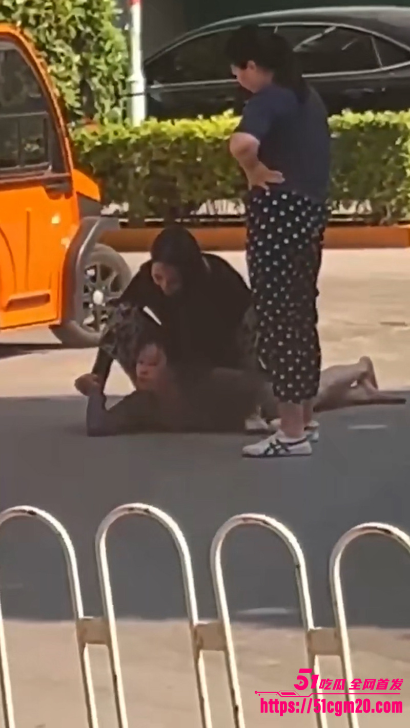 正妻马路怒揍小三 1