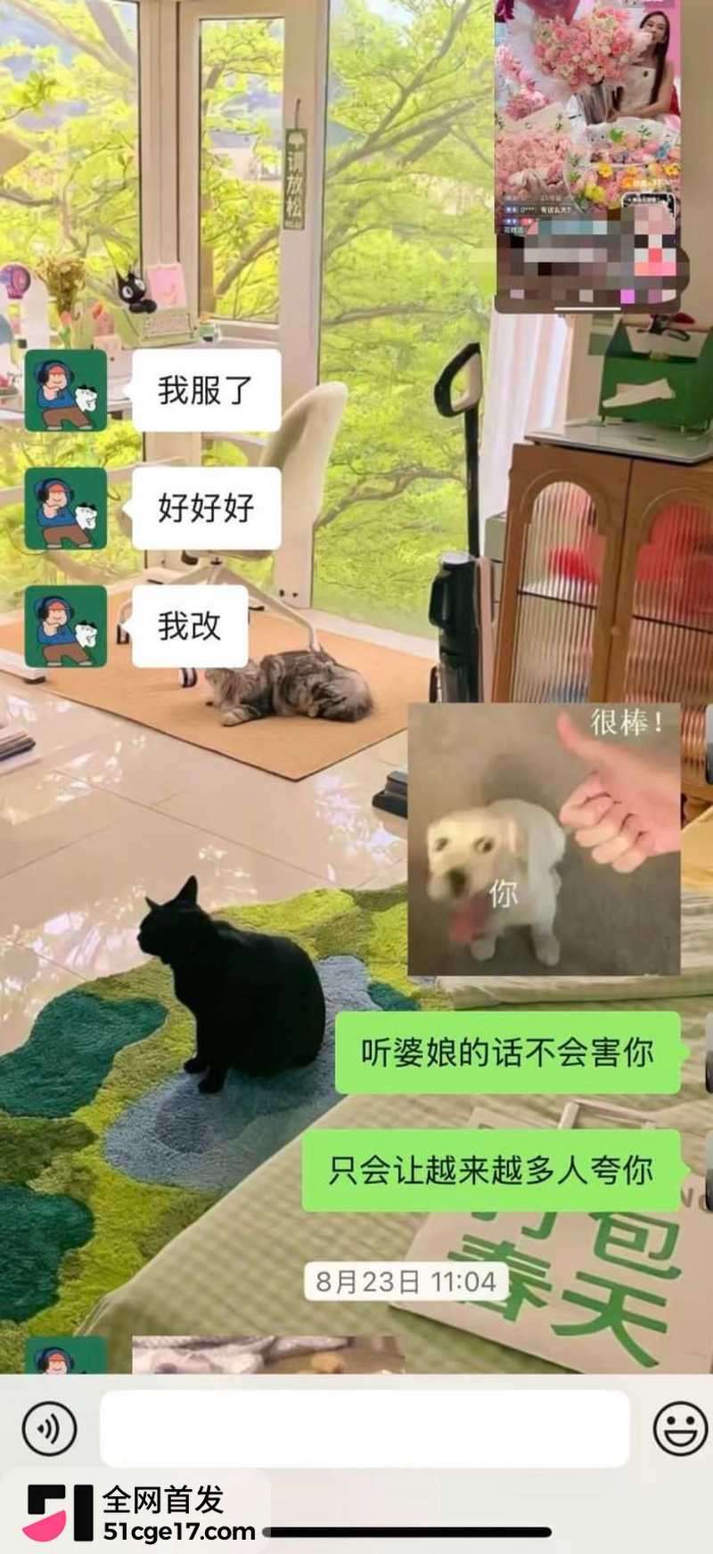 成都东部新区付俊伟彻底翻车 16 成都东部新区付俊伟彻底翻车 16