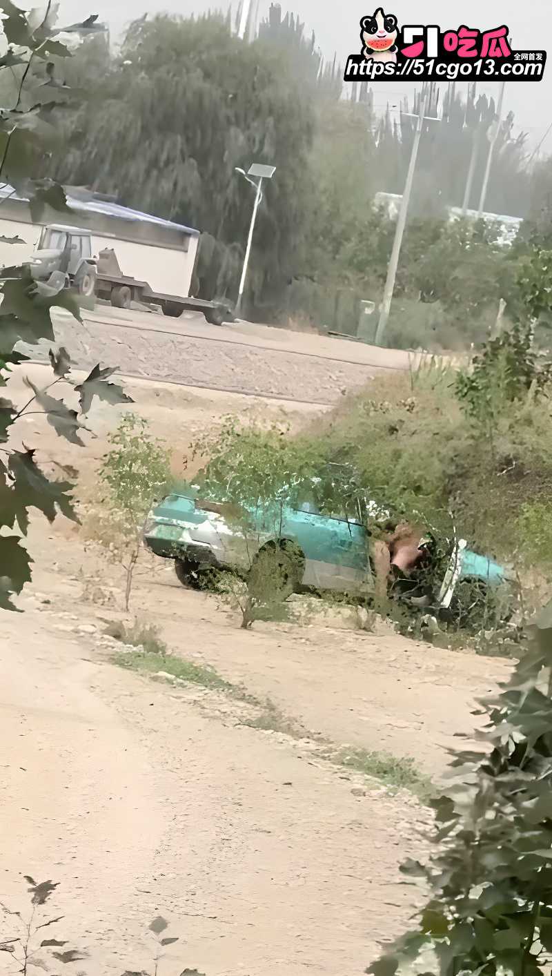 出租车野外车震惨遭偷拍 2