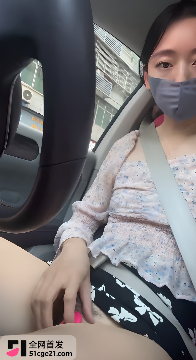 丝袜人妻少妇 大白洁 带娃开车自慰5