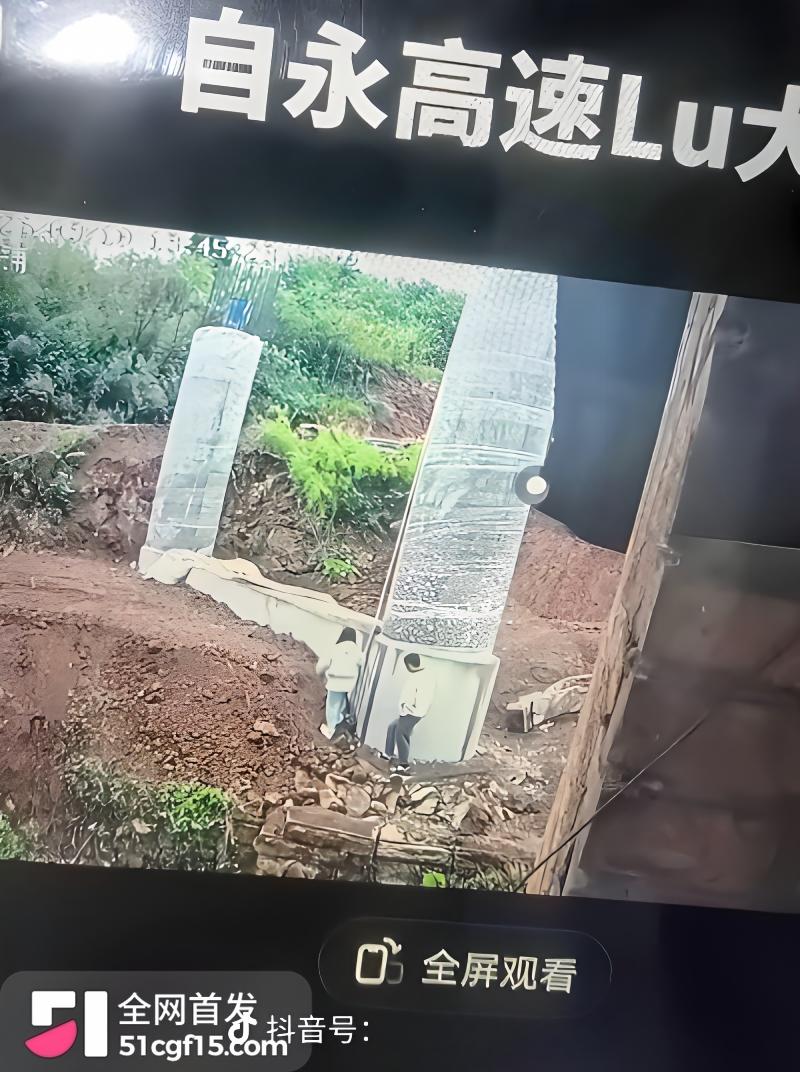 抖音Lu大妹嫌35万拆迁款太少拒拆 10
