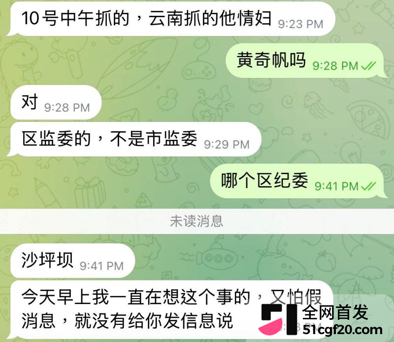 重庆原市长黄奇帆卸任近十年后被查 33 重庆原市长黄奇帆卸任近十年后被查 33