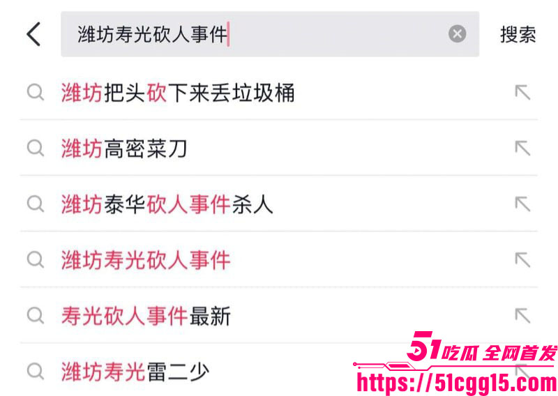 寿光金光街大桥持刀火拼血案 1