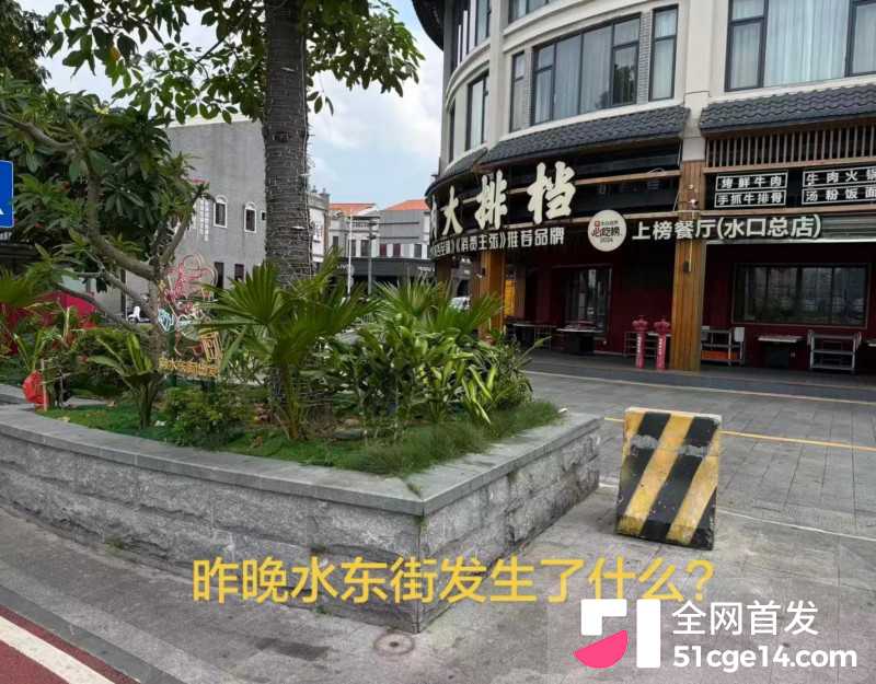 广东惠州水东街深夜野战视频01