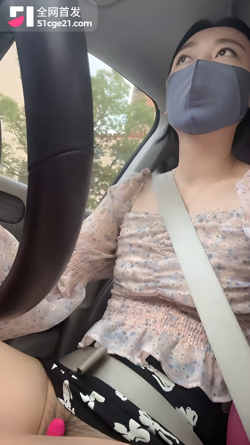 丝袜人妻少妇 大白洁 带娃开车自慰1