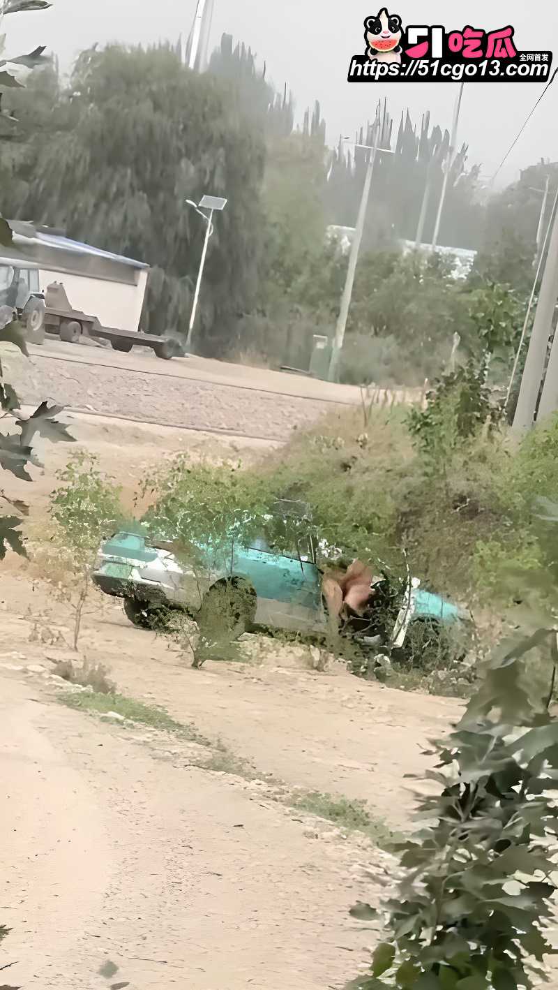 出租车野外车震惨遭偷拍 1