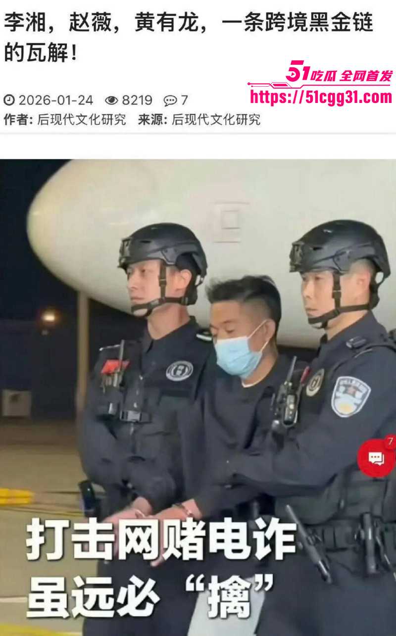 东南亚诈骗园区赵薇李湘洗钱事件01