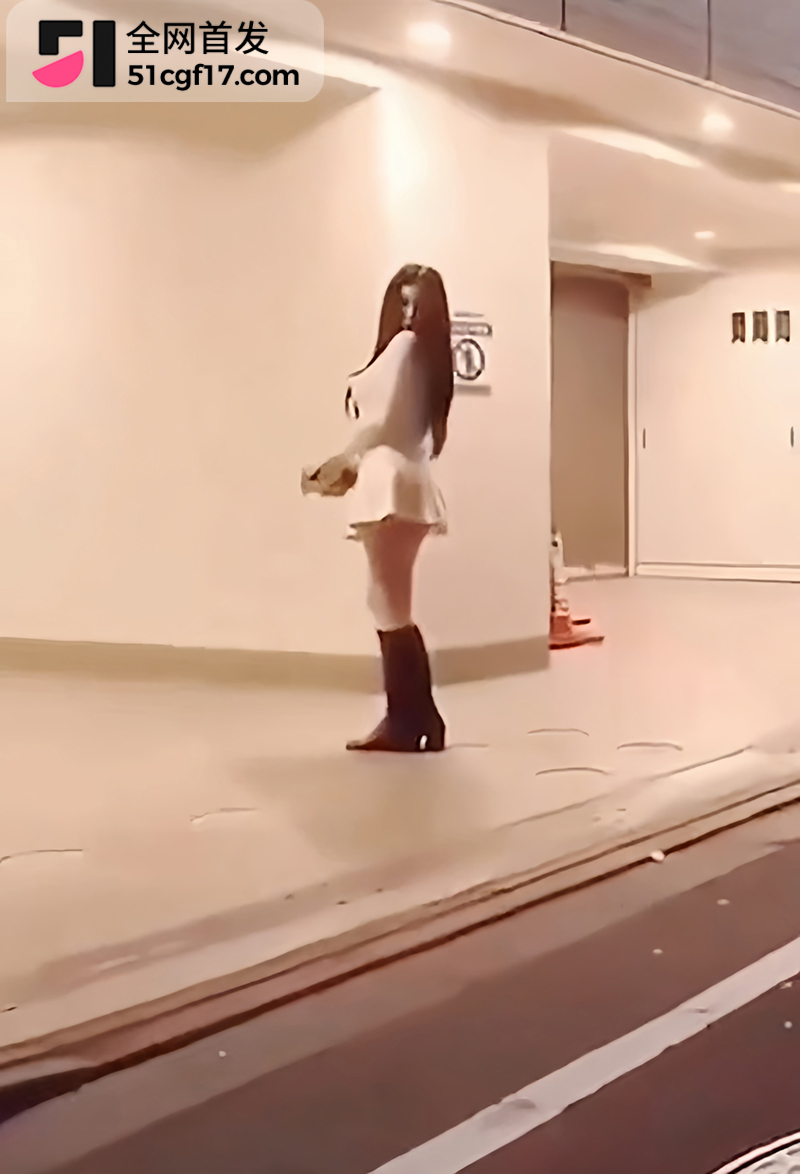 日本东京站街女车震 2 拷贝