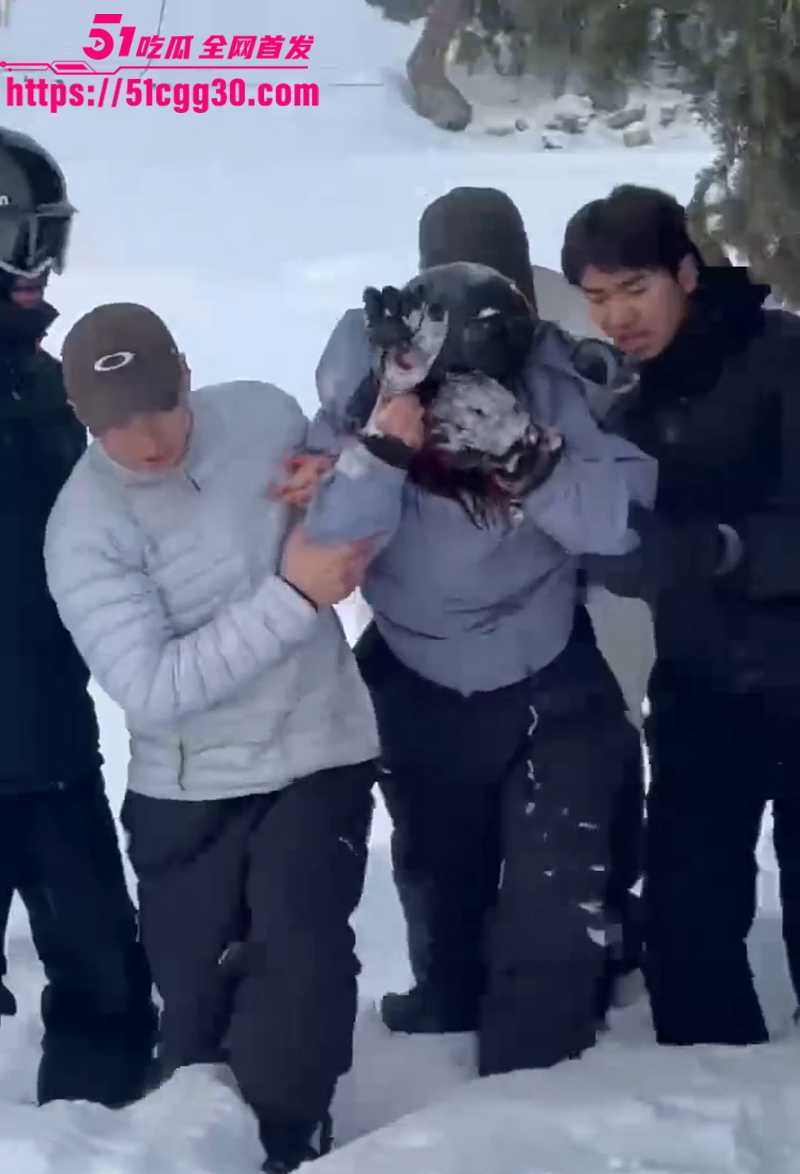 可可托海雪豹咬人视频曝光 1 拷贝